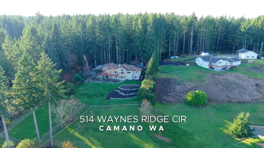Cinematic video, Camano